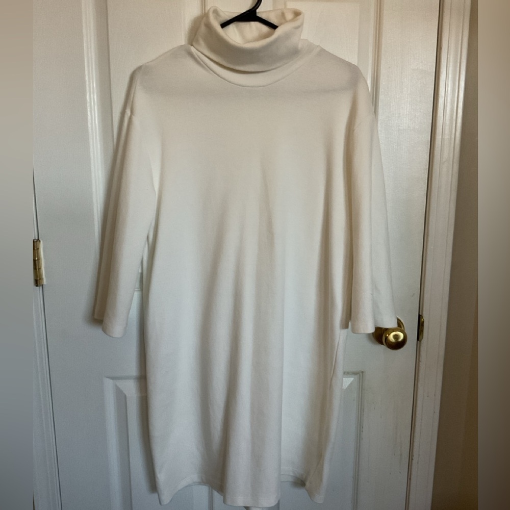 Zara White Turtleneck Dress